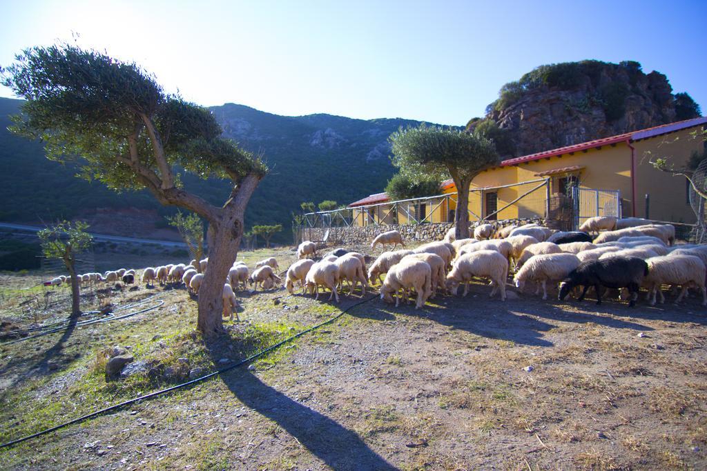 Agriturismo Sa Rocca Иглесиас Экстерьер фото